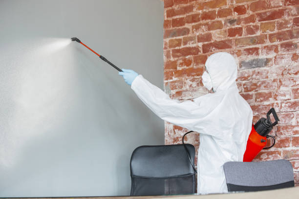 Best Residential Mold Inspection & Testing  in Blissfield, MI