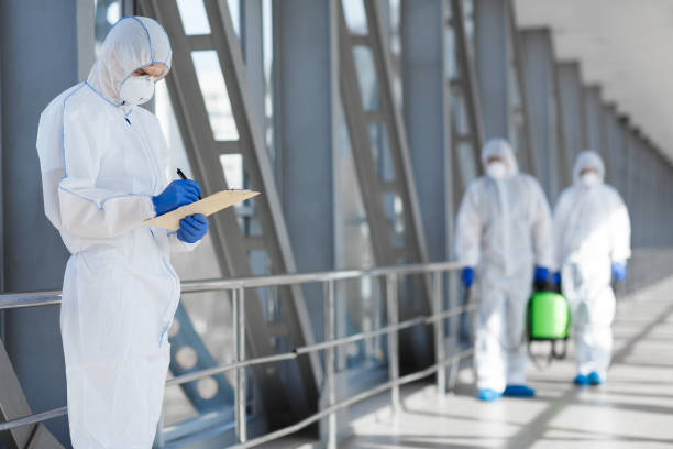 Blissfield, MI Mold Removal Company