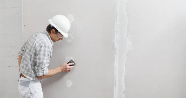  Blissfield, MI Mold Removal Pros