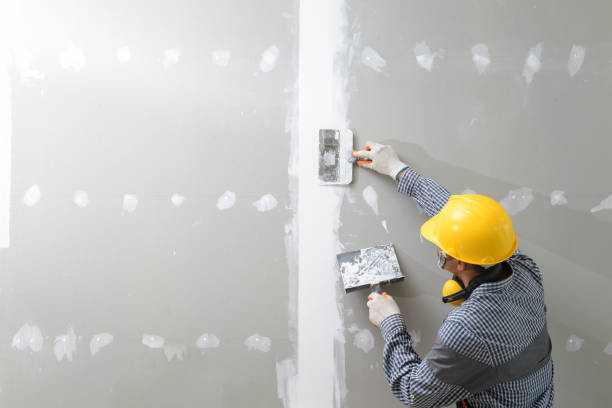 Best Attic Mold Removal  in Blissfield, MI