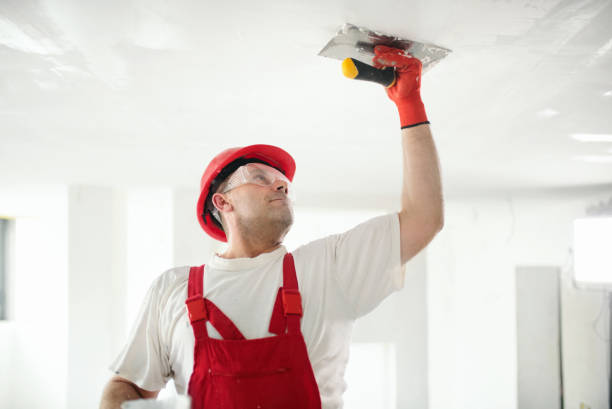 Best Environmental Consulting for Mold Prevention  in Blissfield, MI