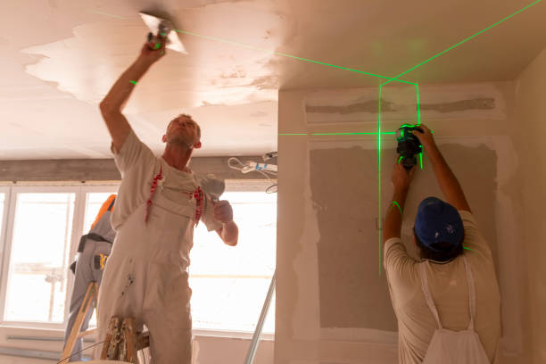 Best Environmental Consulting for Mold Prevention  in Blissfield, MI