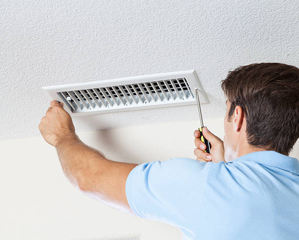 Best Post-Construction Mold Inspection  in Blissfield, MI