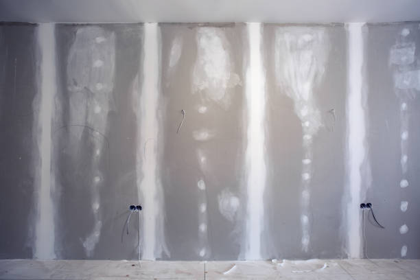 Best Mold Prevention Services  in Blissfield, MI